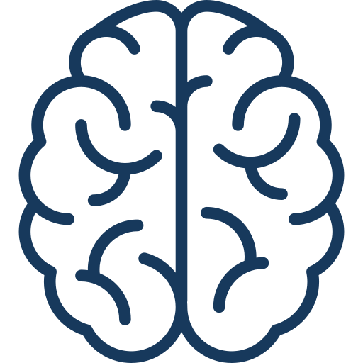 brain